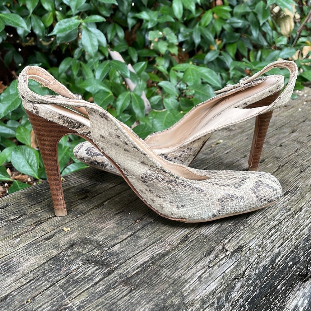 Coach ALMA Leather Python Print Slingback Heels Women's Taupe